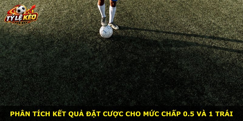 Phân tích kết quả đặt cược cho mức chấp 0.5 và 1 trái