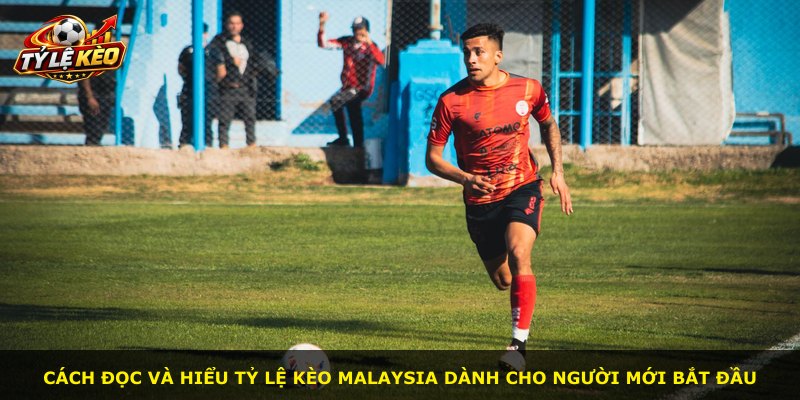 Cách đọc và hiểu tỷ lệ kèo Malaysia dành cho người mới bắt đầu